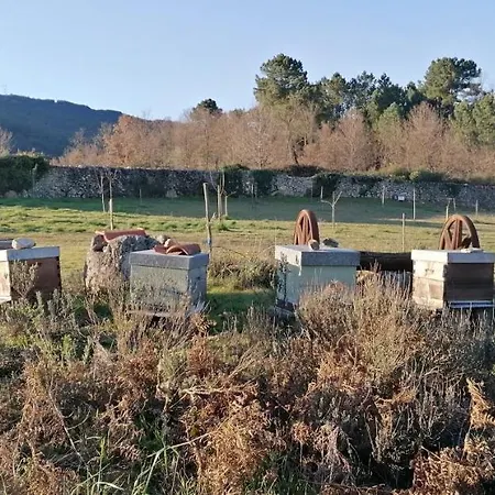 Casa Do Negrões Boticas