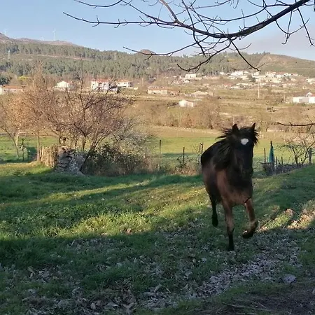 Casa Do Negroes Nyaraló Boticas