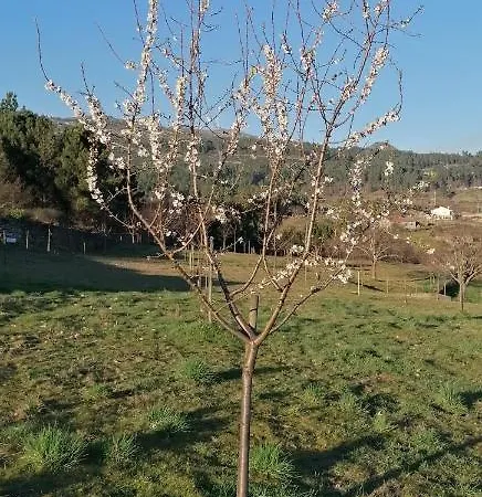 Vakantiehuis Casa Do Negroes