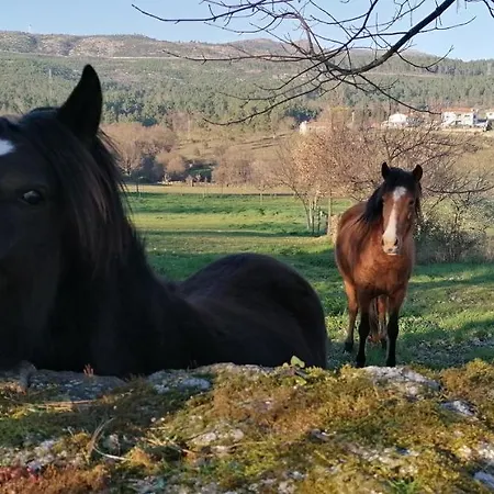 Casa de Férias Casa Do Negrões