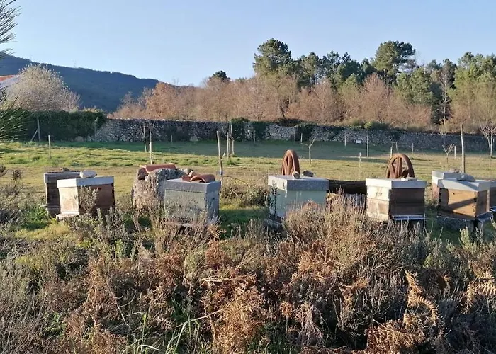 Casa Do Negroes Boticas