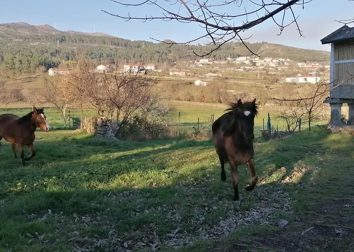 Casa Do Negroes Semesterbostad Boticas