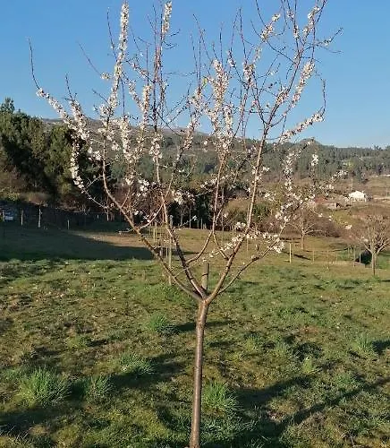 Semesterbostad Casa Do Negroes