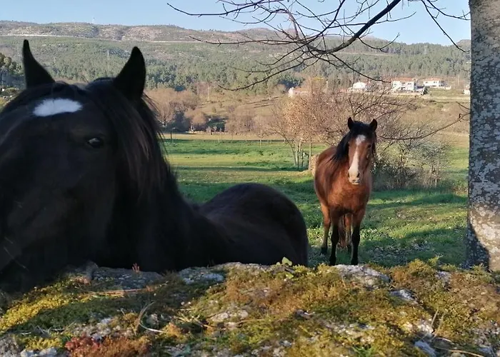 度假居 Casa Do Negroes